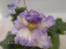 Ma´s Ching Dynasty